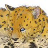 Only released for the Amur leopard charity drive. +5 Energy every 30 minutes